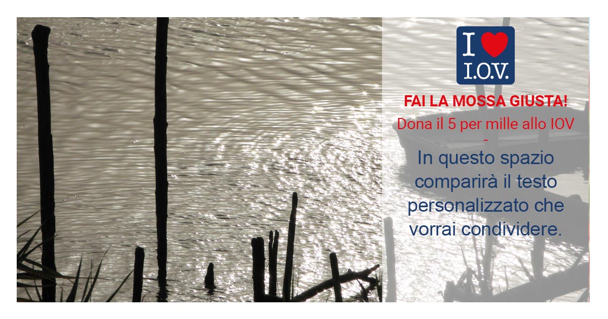 cartolina 3