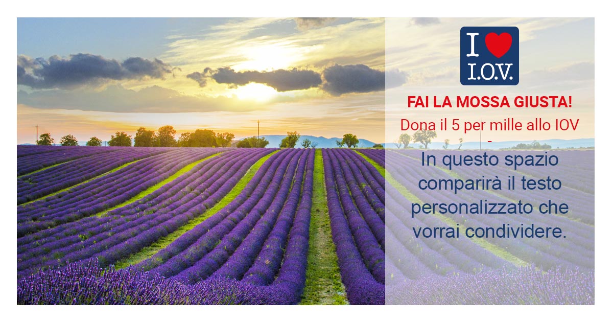 cartolina 4